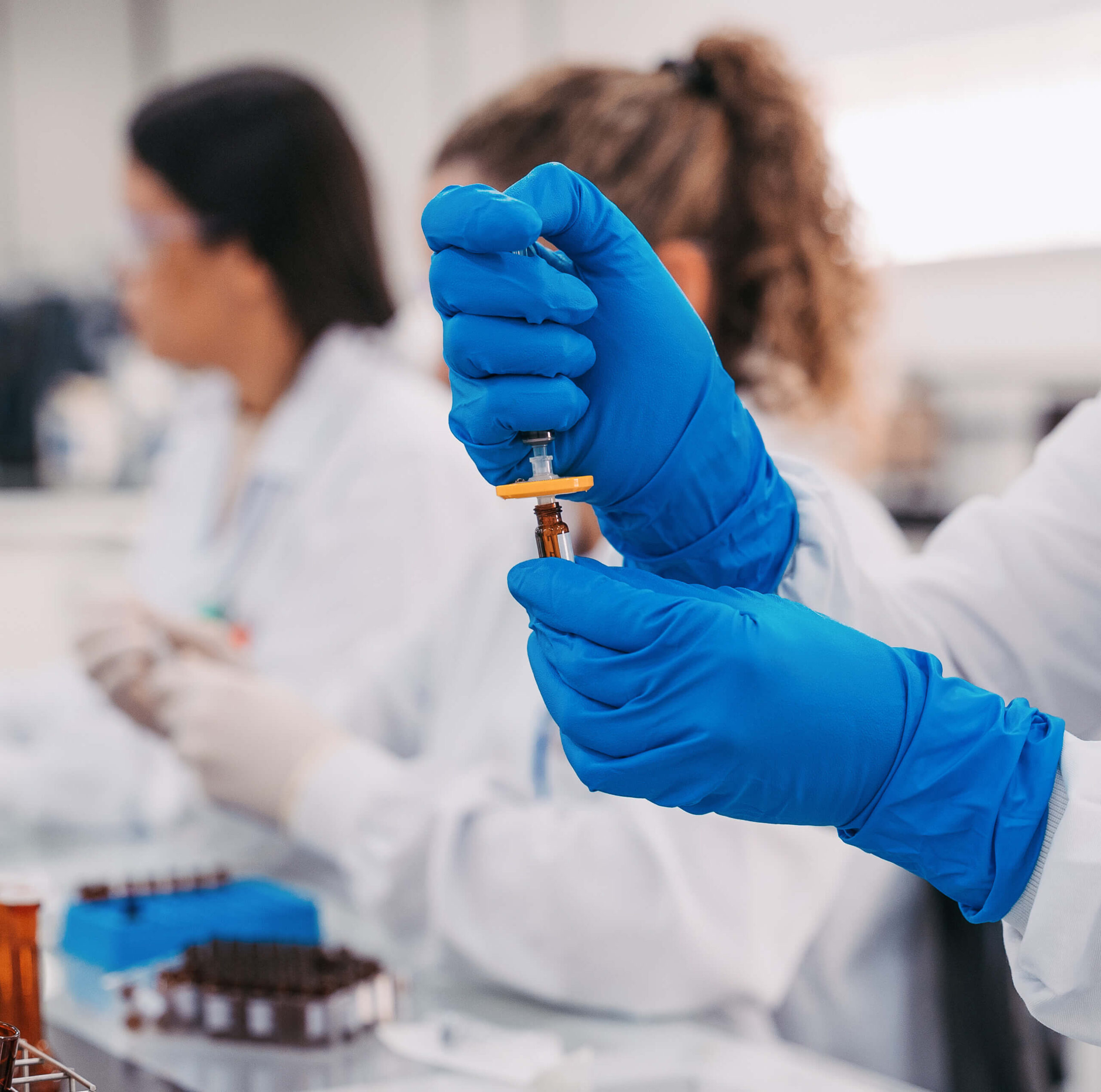 DSC07155.jpg